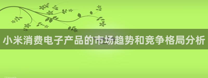 K8凯发·天生赢家|小米消费电子产品的市场趋势和竞争格局分析