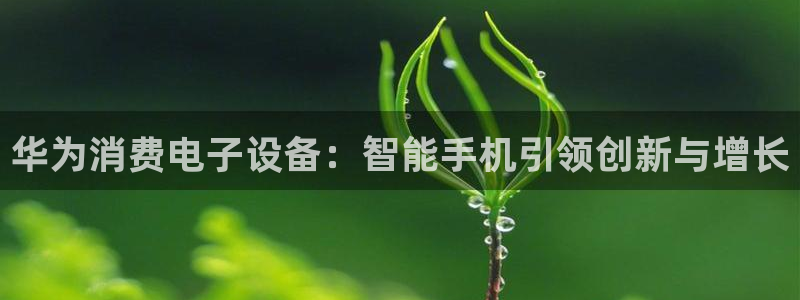 凯发k8登录首页