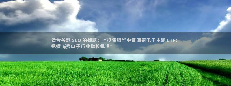 凯发K8国际首页|适合谷歌 SEO 的标题：“投资银华中证消费电子主题 ETF：
把握消费电子行业增长机遇”