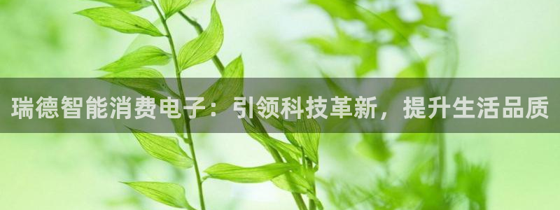 凯发k8唯一官方|瑞德智能消费电子：引领科技革新，提升生活品质