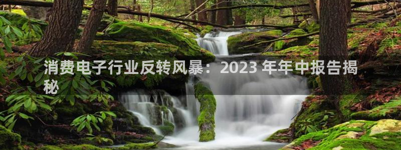 凯发k8的官方网站|消费电子行业反转风暴：2023 年年中报告揭
秘